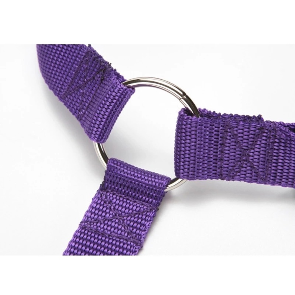Solid 2 in 1 Dog Car Seatbelt Lead Leash Safety Belt - Picture 5 of 7